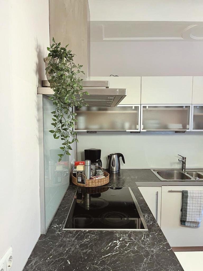 Taferne In Koestendorf - Ferienwohnung Monteurzimmer Ноймаркт ам Валерзее Екстериор снимка